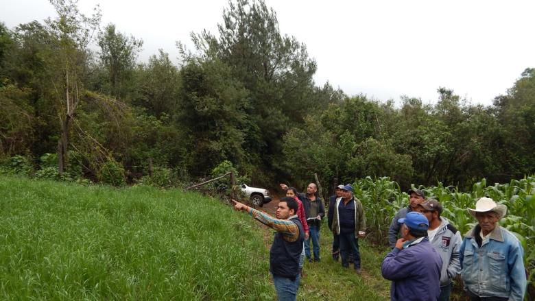 Monarch Fund: saving the Monarch Butterfly