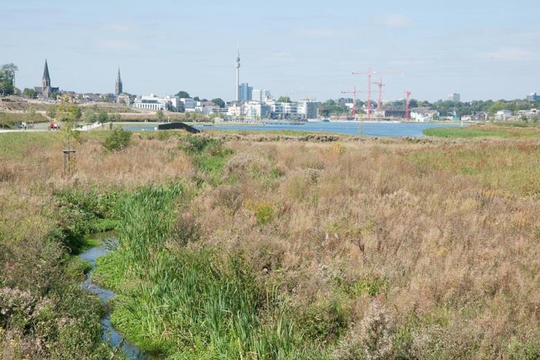 Flood Management and Ecological Improvement - The Creation of Lake Phoenix