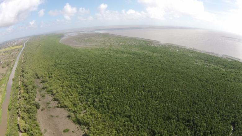 Increasing coastal resilience and social development opportunities: Guyana Mangrove Restoration Project (GMRP)