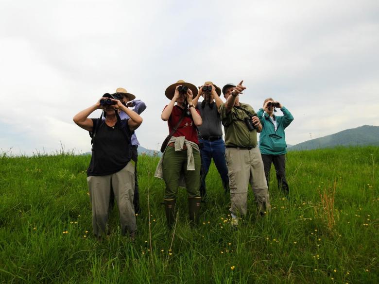 Preserving Virginia’s native landscapes with the help of citizen scientists and private landowners