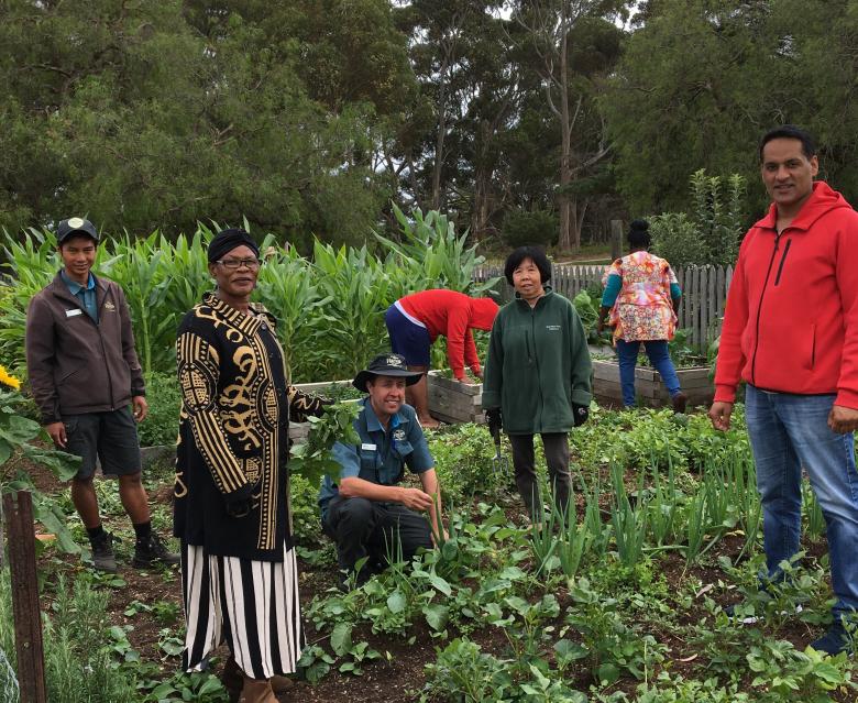 Working beyond boundaries improving health and employment outcomes for refugees