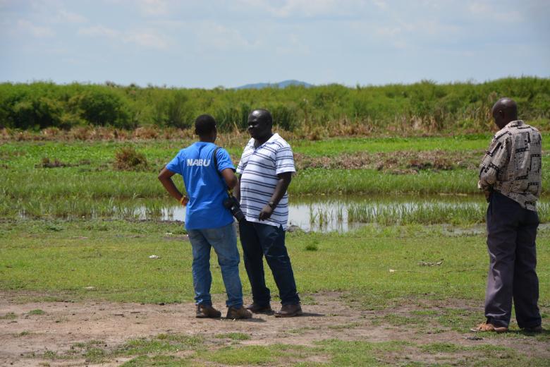 Nile River Basin transboundary wetlands conservation