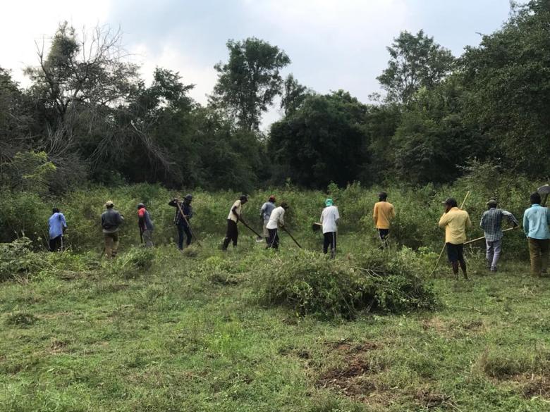 Habitat Restoration and Support of Livelihoods impacted by COVID-19, through Removal of IAS (Invasive Alien Species) in the Lunugamvehera National Park