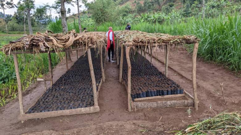 Establishing an FLR-Friendly Policy Framework in South Kivu, Democratic Republic of Congo