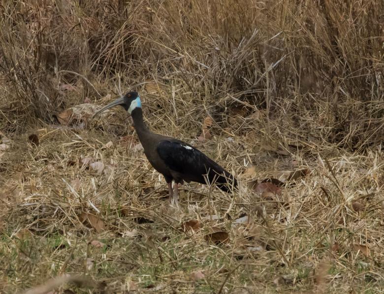 Profiting from eco-tourism in Cambodia