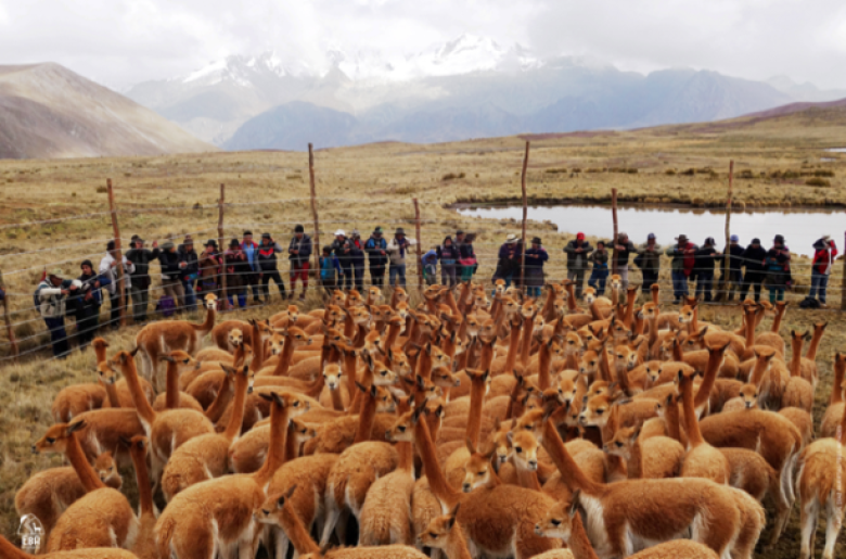 Implementation of EbA measures in the Nor Yauyos-Cochas Landscape Reserve