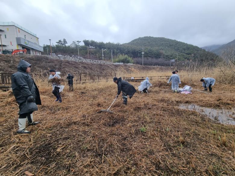 Habitat Conservation Activities for Endangered Plants in Yangsan Wondong Wetland