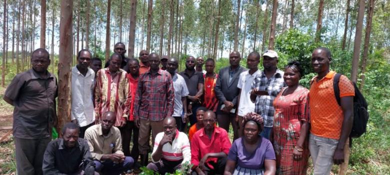 Restoration of Degraded Landscapes through the Promotion of Agroforestry-Food Grain System