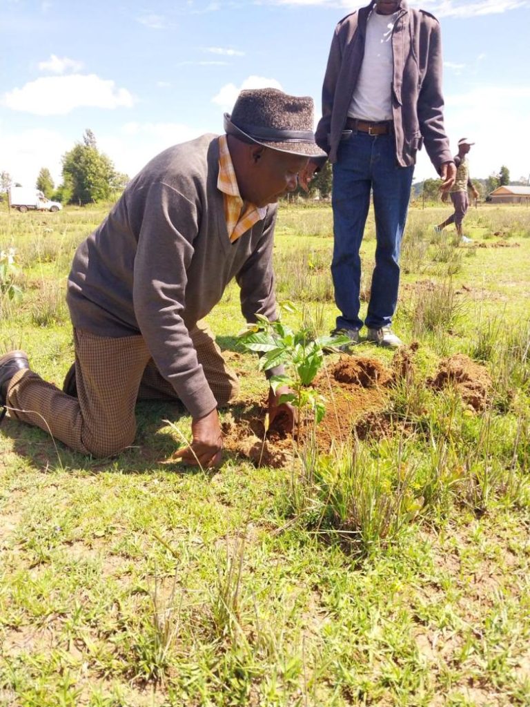 Community driven regeneration of native forests in Kenya