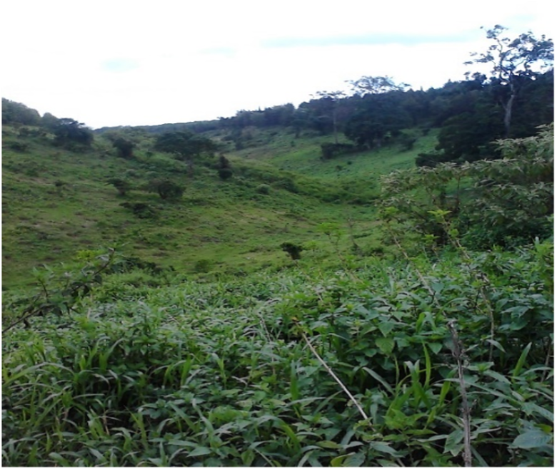 Community-led policy advocacy on Natural Resources Management in Kenya