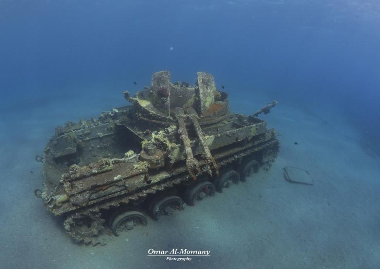 Introduction of artificial reef to reduce pressure on natural coral reef in gulf of Aqaba- Jordan