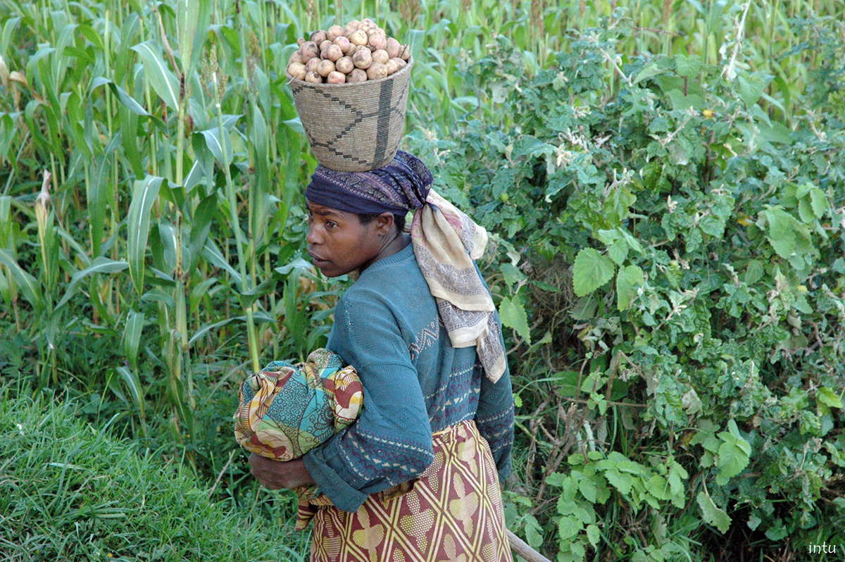 IUCN flagship report calls on countries to rethink agricultural and conservation policies to help protect biodiversity and deliver food for humanity