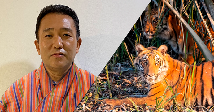 A decade of collective action: securing a future for tigers and their habitats