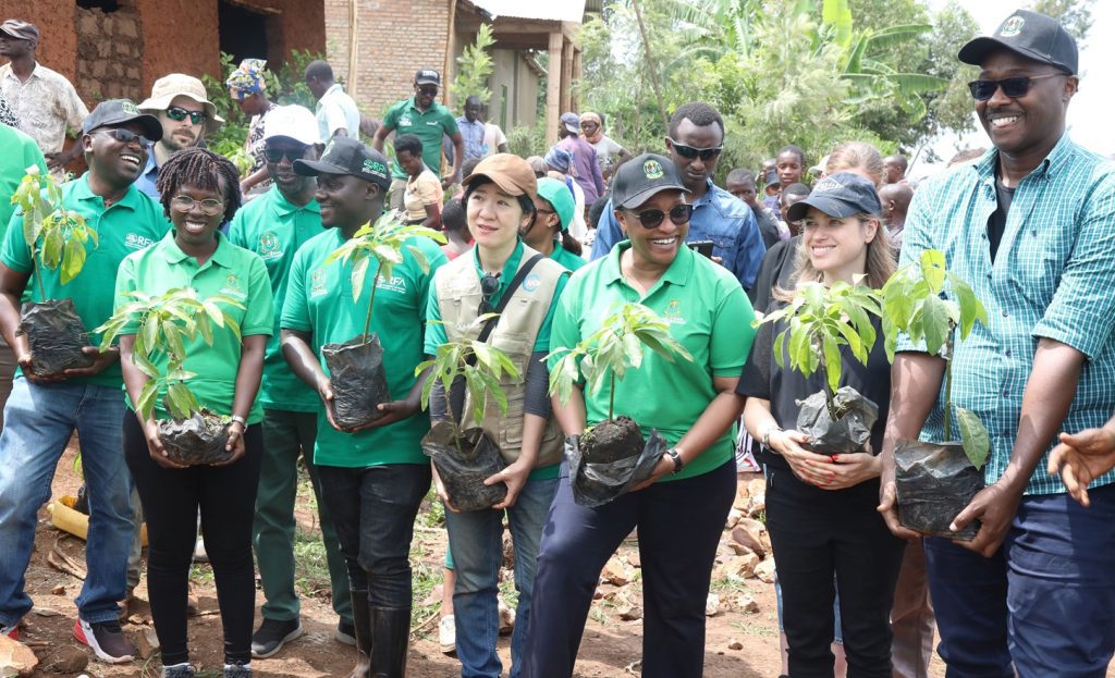 Rwanda to Plant Over 65 million Seedlings in 2024-2025, with IUCN as a Key Partner