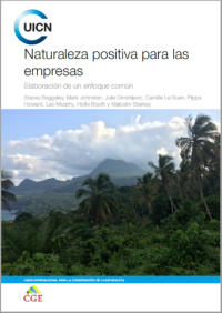 Naturaleza positiva para las empresas