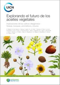 Explorando el futuro de los aceites vegetales