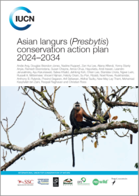 Asian langurs (Presbytis) conservation action plan 2024–2034