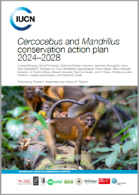 Cercocebus and Mandrillus conservation action plan 2024–2028