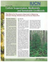 Carbon sequestration, biodiversity and sustainable livelihoods : discussion paper