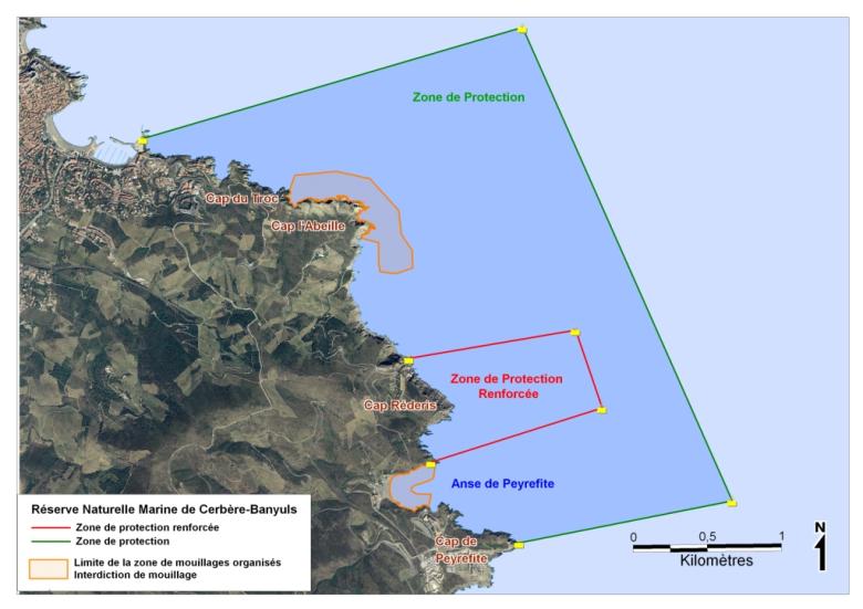 Etude cartographique des herbiers de Posidonie de la Réserve Naturelle Marine de Cerbère-Banyuls