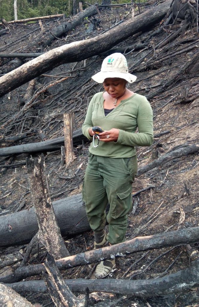 Instauration d'un Système de Surveillance Quasi en Temps Réel au Parc Naturel de Makira, dans le Nord-Est de Madagascar Instauration d'un Système de Surveillance Quasi en Temps Réel au Parc Naturel de Makira, dans le Nord-Est de Madagascar