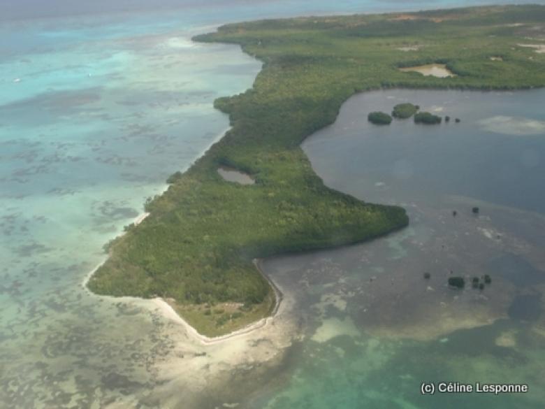 Schéma d'intervention opérationnel de l'espace naturel du Grand Cul-de-Sac Marin - Guadeloupe