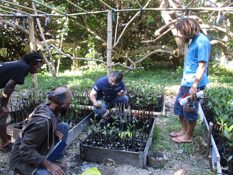 État des lieux participatif de la mangrove de Touho État des lieux participatif de la mangrove de Touho