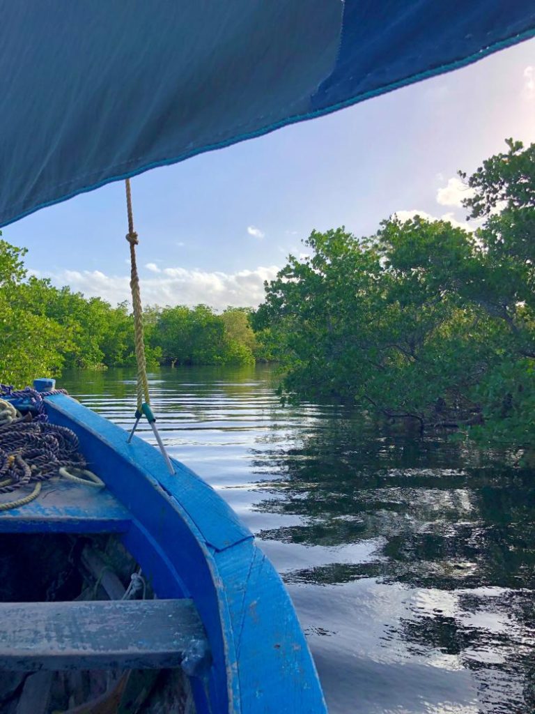 Integrating Mangroves and Nature-based Solutions (NbS) in Blue Economy Strategies for Sustainable Policy Decision-making