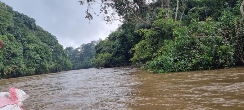La conservation de la biodiversité par les peuples autochtones dans l’APAC Kisimbosa-Chamakasa