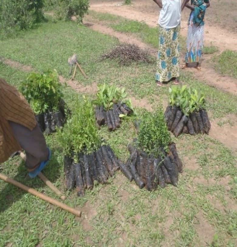 Projet de renforcement des capacités pour le contrôle de la dégradation des terres et de la promotion de leur valorisation dans les zones de sols dégradés (CODEVAL)