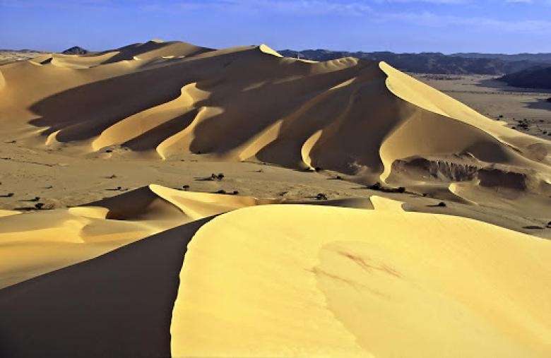 Programme de lutte contre l’ensablement dans le bassin du Niger
