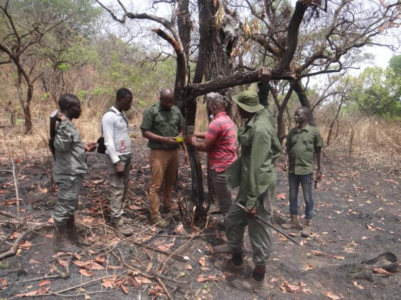SUIVI DES MAMMIFERES AVEC LE CAMERA TRAP DANS LE PARC NATIONAL DE FAZAO MALFAKASSA ET LA RESERVE DE FAUNE D’ABDOULAYE SUIVI DES MAMMIFERES AVEC LE CAMERA TRAP DANS LE PARC NATIONAL DE FAZAO MALFAKASSA ET LA RESERVE DE FAUNE D’ABDOULAYE