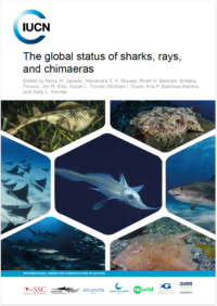 The global status of sharks, rays, and chimaeras