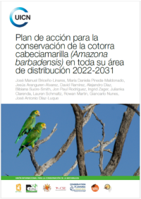 Plan de acción para la conservación de la cotorra cabeciamarilla (Amazona barbadensis) en toda su área de distribución 2022-2031