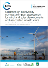 Guidance on biodiversity cumulative impact assessment for wind and solar developments and associated infrastructure