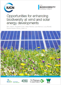 Opportunities for enhancing biodiversity at wind and solar energy developments