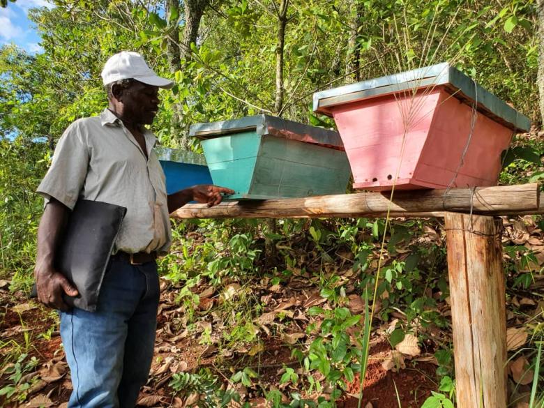 Fostering Community Stewardship of Nature: Balancing Community Livelihoods and Biodiversity Conservation in Chimanimani KBA, Zimbabwe