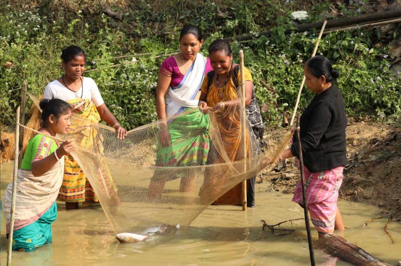 Gender transformative approach to promote women in fisheries and aquaculture