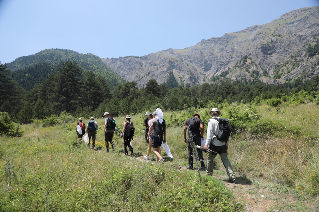Empowering Europe's youth to protect pollinators and address biodiversity threats - IUCN SOS Empowering Europe's youth to protect pollinators and address biodiversity threats - IUCN SOS