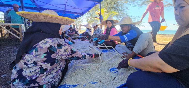 MARRS at Work: Restoring Coral Reefs in Tun Mustapha Park MARRS at Work: Restoring Coral Reefs in Tun Mustapha Park