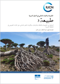 Tabe'a III (Arabic version) Tabe'a III (Arabic version)