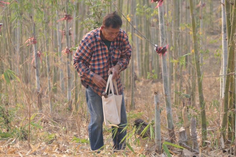 Sustainable farming that benefits people and nature in Thailand