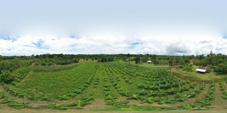 Seeding Success: Sustainable Financing for Climate-Resilient and Biodiversity-Positive Startups in Rural Communities