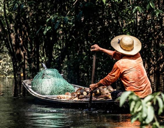 La reserve de développement durable Mamirauá - Traivaller avec les communautés autochtones en Amazonie