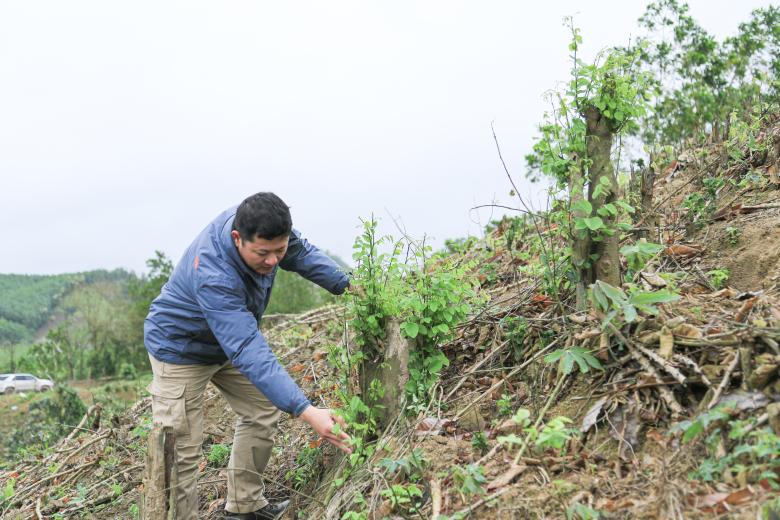 Conserving Critically Endangered rosewood and Endangered padauk species in Community forest Vietnam's Central Annamite Conserving Critically Endangered rosewood and Endangered padauk species in Community forest Vietnam's Central Annamite