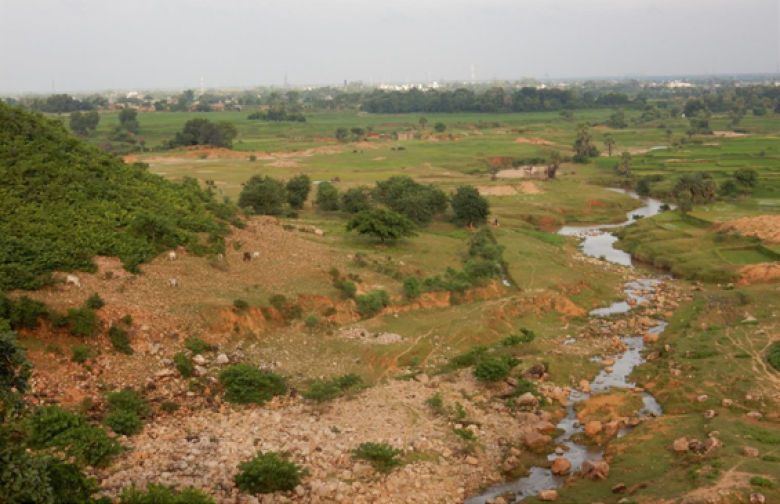 From Fields to Forests: Integrating Nature into Kharagpur’s Agriscapes From Fields to Forests: Integrating Nature into Kharagpur’s Agriscapes