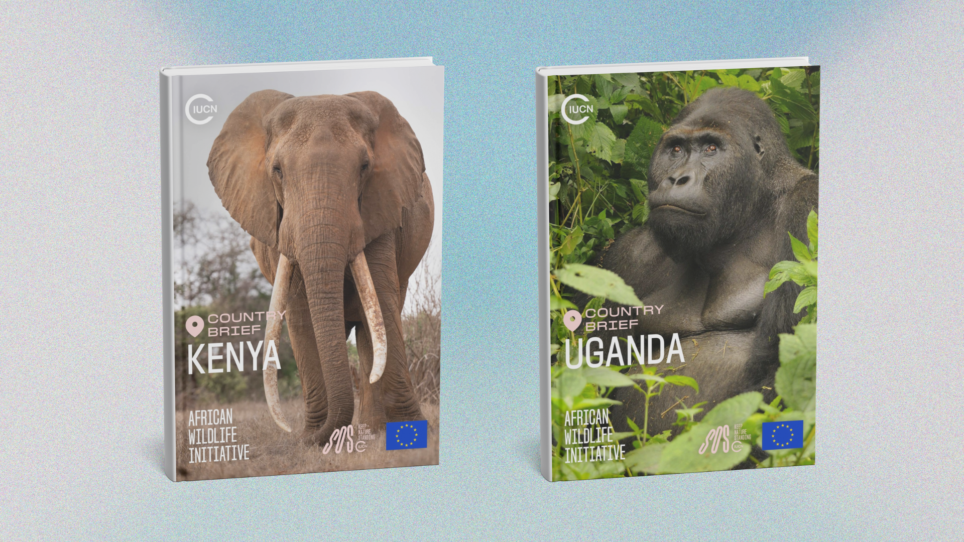 New IUCN African Wildlife Initiative country briefs highlight conservation progress across East Africa  - IUCN SOS