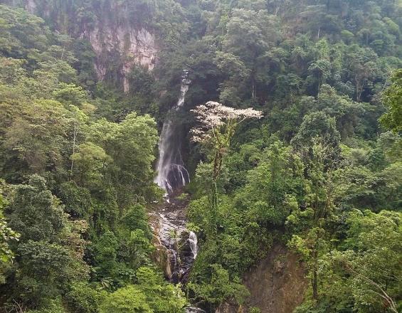 Gobernanza para la adaptación en Chiapas - México Gobernanza para la adaptación en Chiapas - México