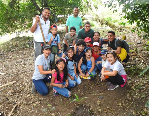 Plan national de conservation des cycadées de la Colombie