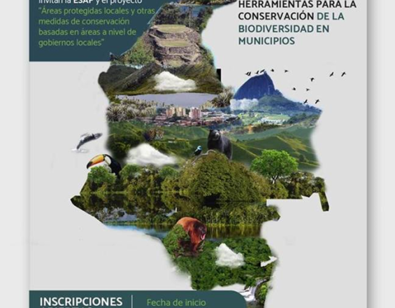La educación virtual como estrategia de gestión de biodiversidad para los gobiernos locales La educación virtual como estrategia de gestión de biodiversidad para los gobiernos locales